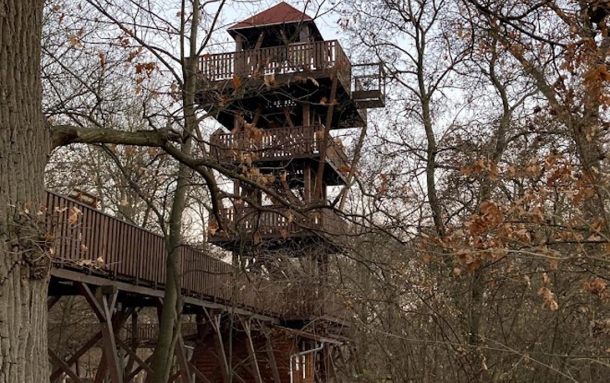 Erzsébet Ligeti Lombkorona Sétány és Kilátó