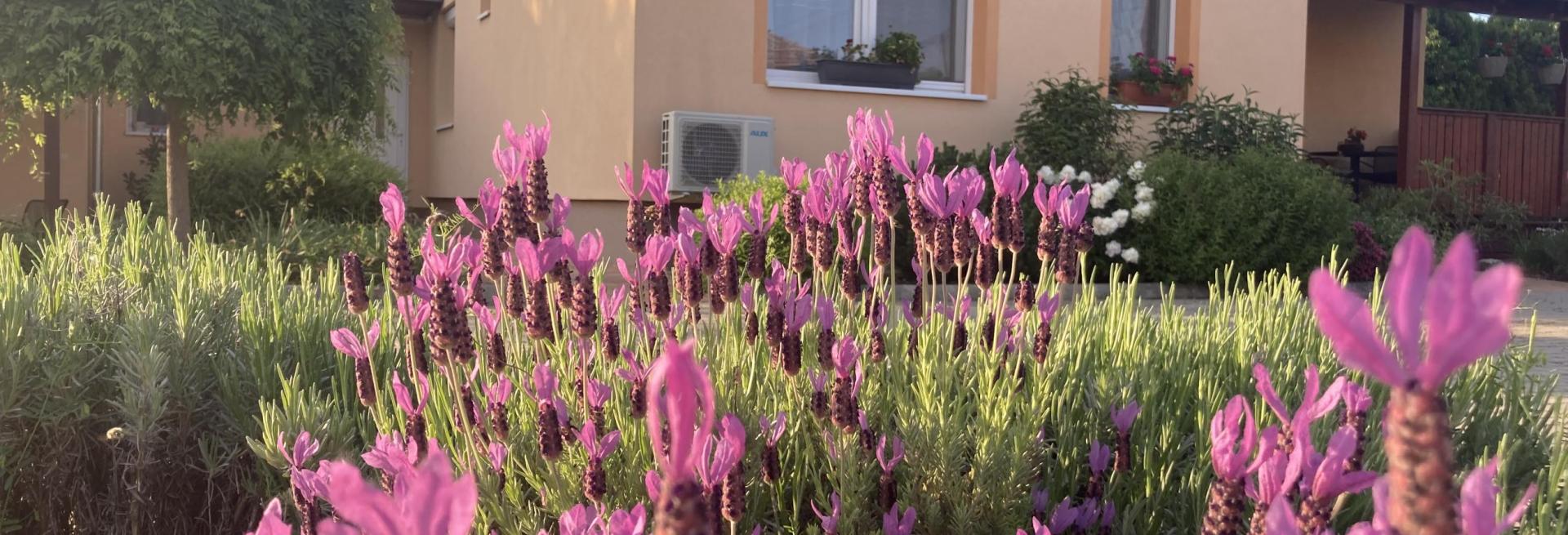 Levendula Apartmanház