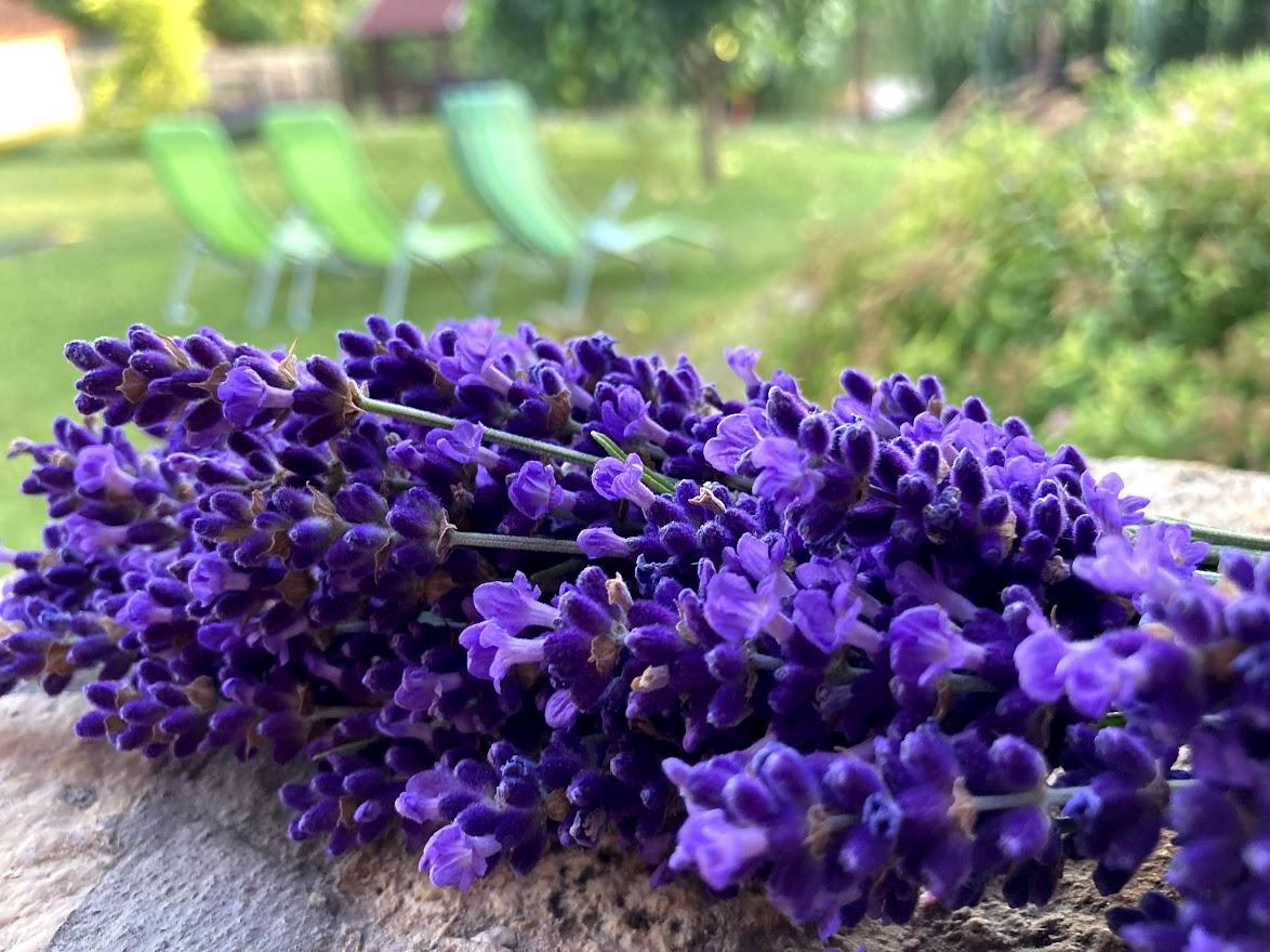 Levendula Apartmanház