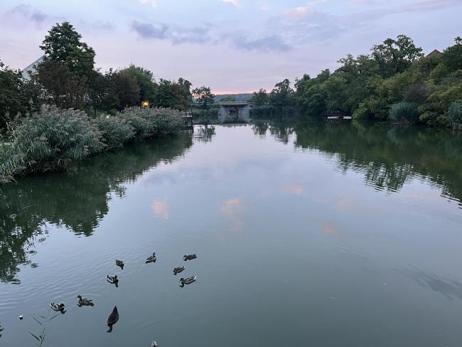 Erzsébet Ligeti Lombkorona Sétány és Kilátó