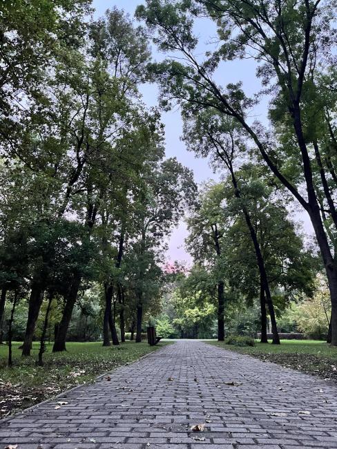 Erzsébet Ligeti Lombkorona Sétány és Kilátó