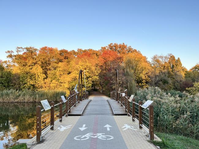 Erzsébet Ligeti Lombkorona Sétány és Kilátó