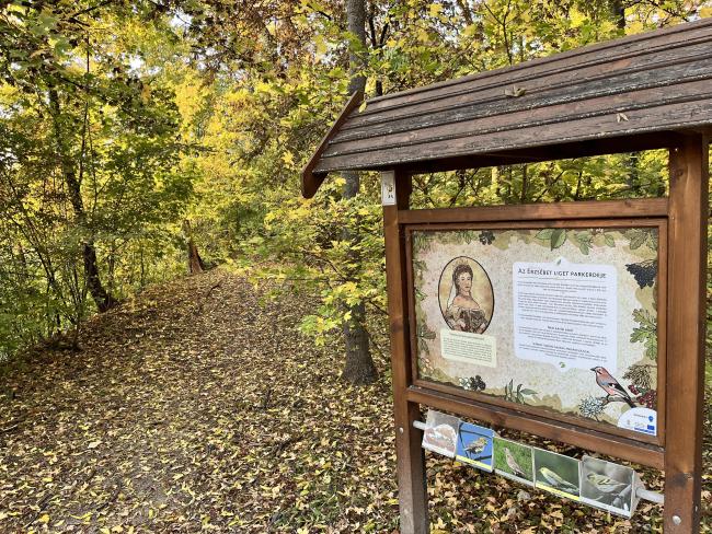 Erzsébet Ligeti Lombkorona Sétány és Kilátó