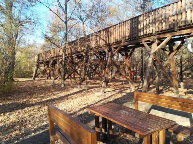 Erzsébet Ligeti Lombkorona Sétány és Kilátó