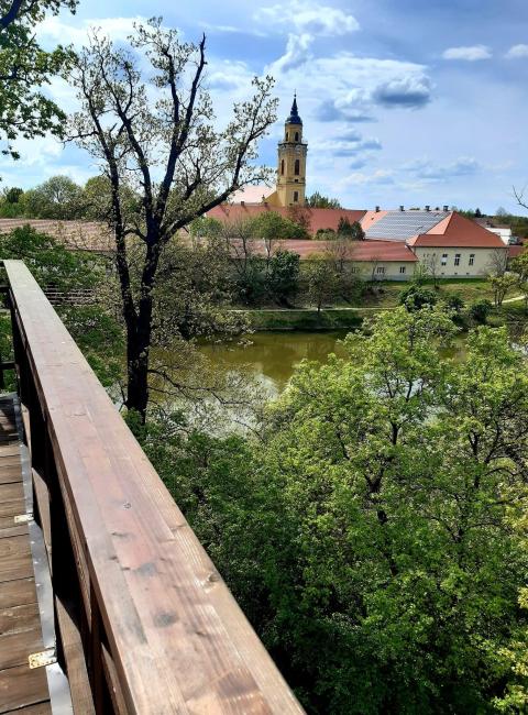 Erzsébet Ligeti Lombkorona Sétány és Kilátó